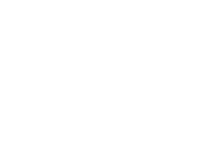 WOODBELL GROUP